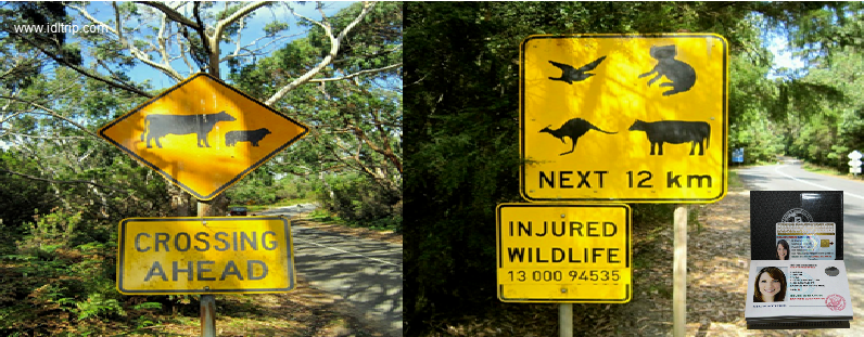 Signalisation routière  